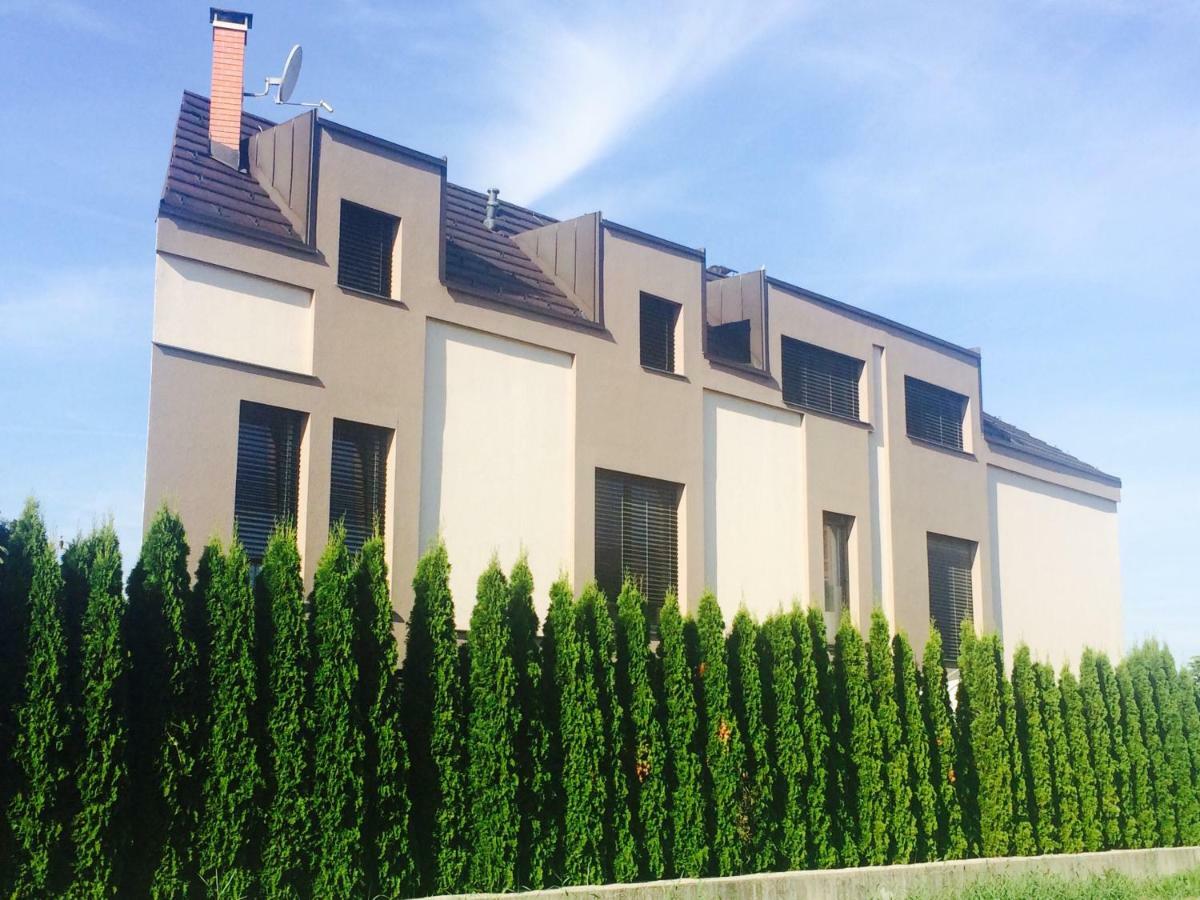 Sandra'S House Bed & Breakfast Log pri Brezovici Exterior photo